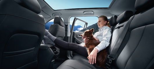 UN AUTO PET FRIENDLY