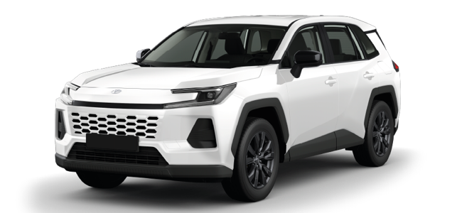 RAV4 XLE GAS 2.0 4X2 CTV